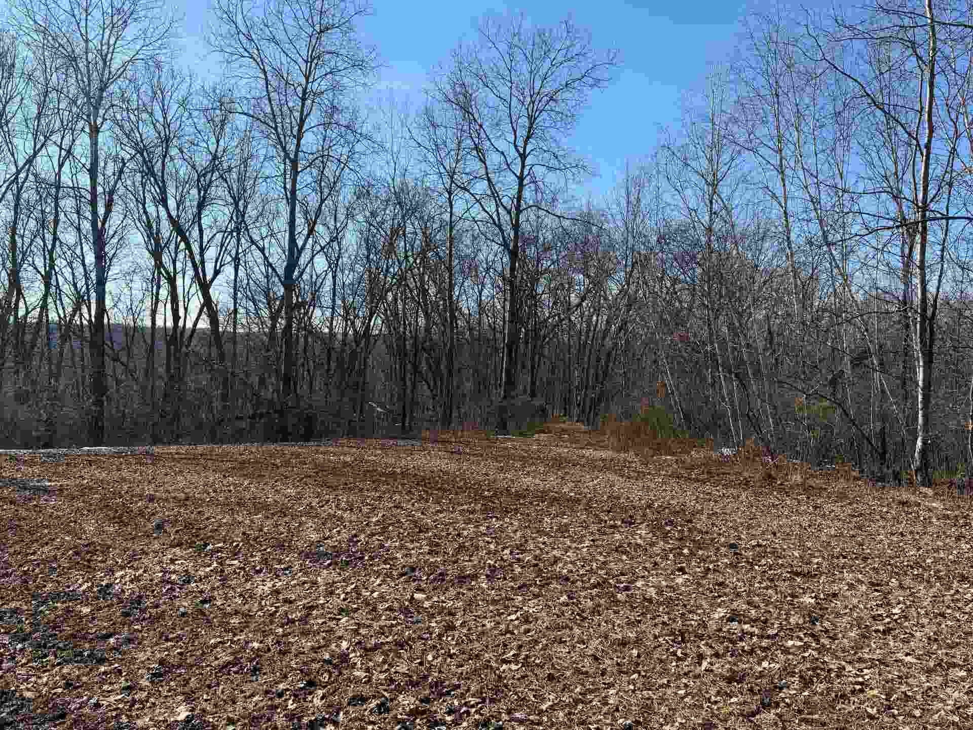 21881 Kale Road, Leon, WI 54656