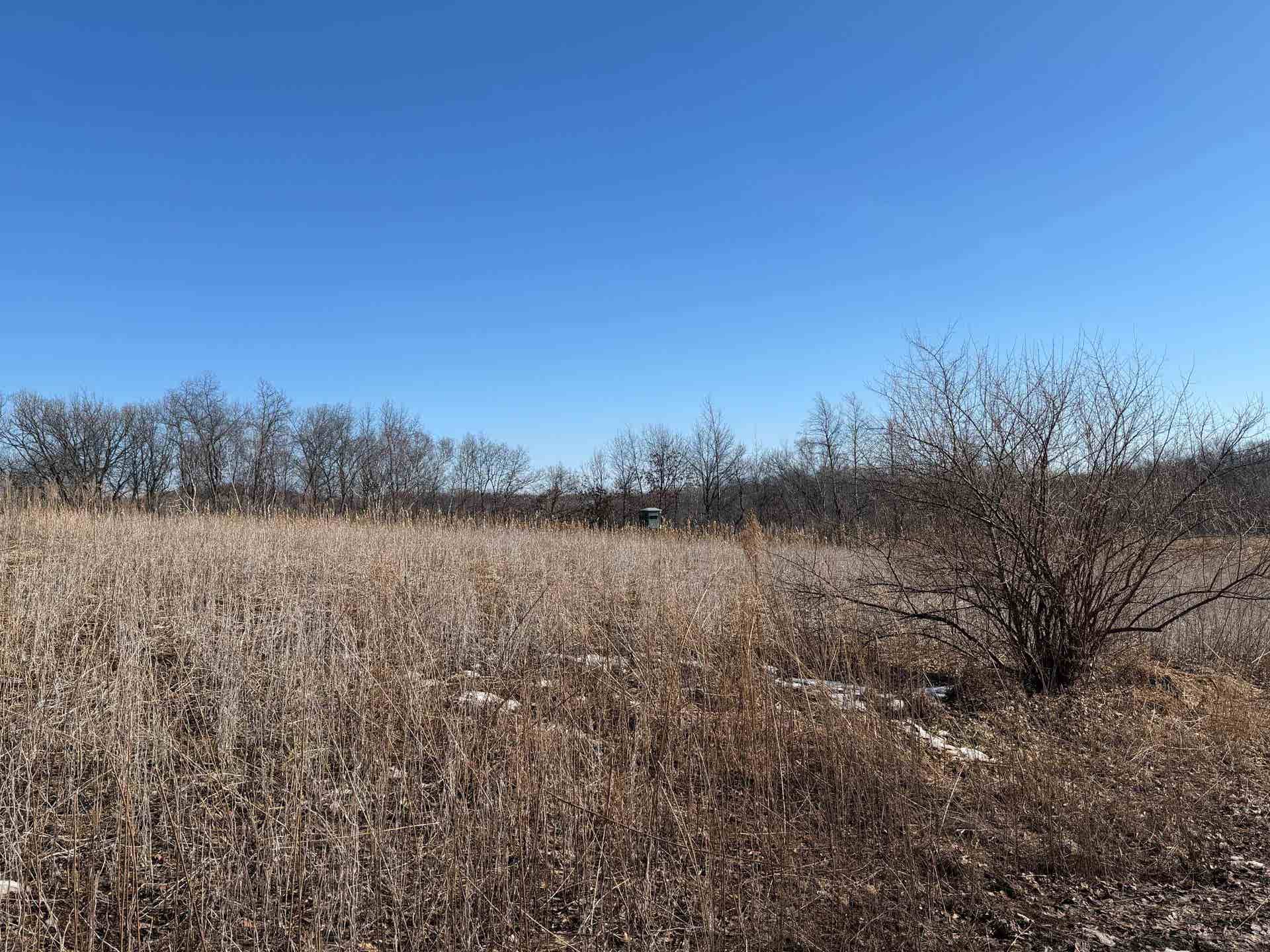 21881 Kale Road, Leon, WI 54656