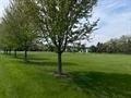 711 21st Street, Prairie Du Sac, WI 53578