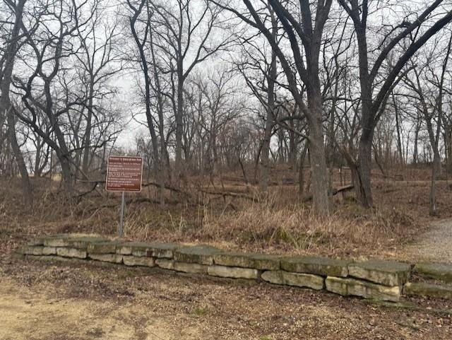 Lot 2 Twin Lane Road, Sun Prairie, WI 53559