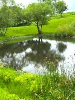 19767 County Hwy A, Marshall, WI 53581