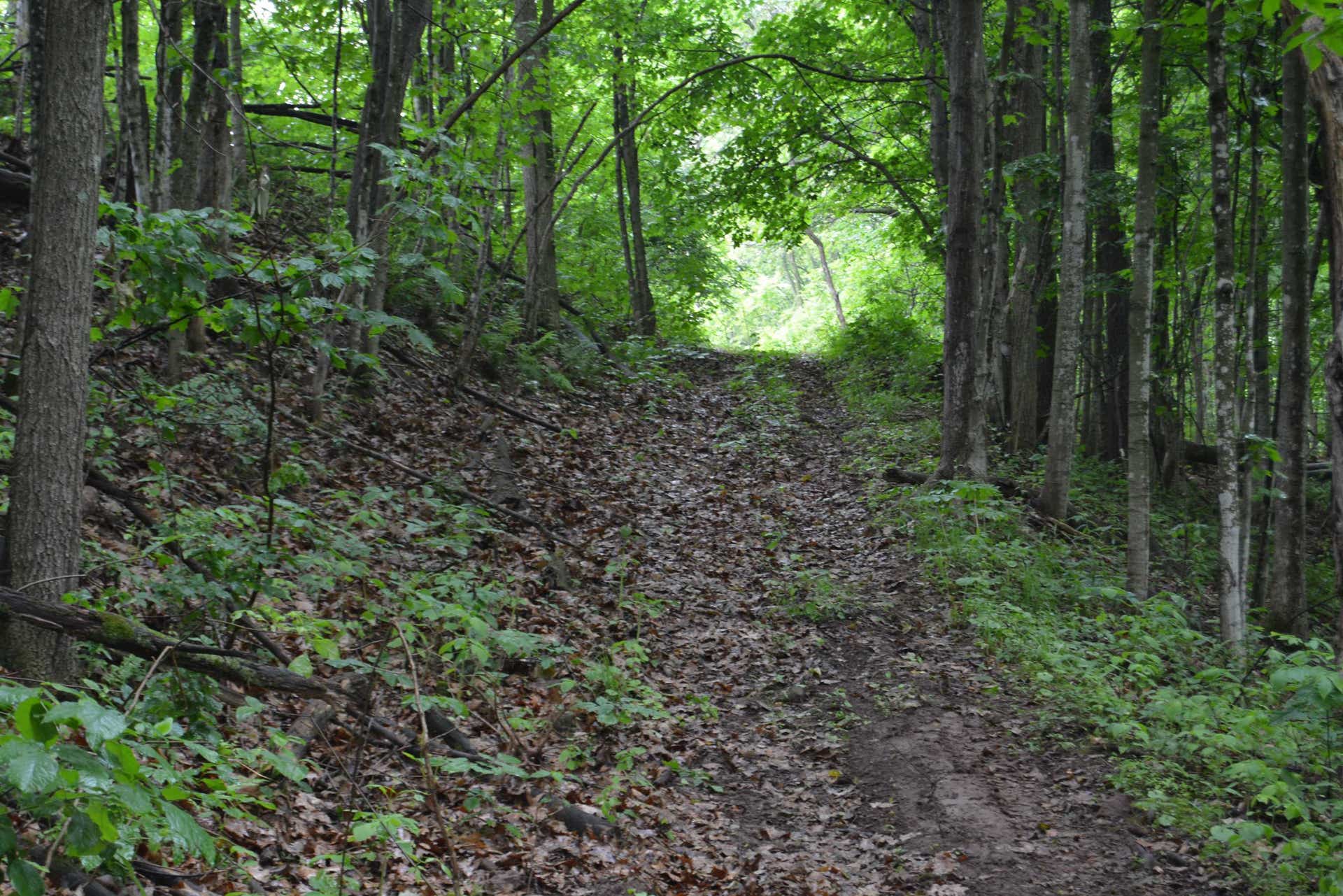 19767 County Hwy A, Marshall, WI 53581