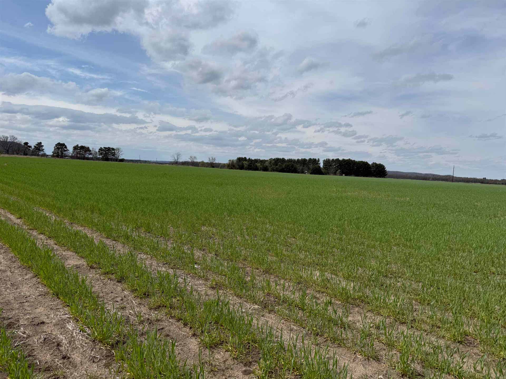 0 Highway G, Muscoda, WI 53573