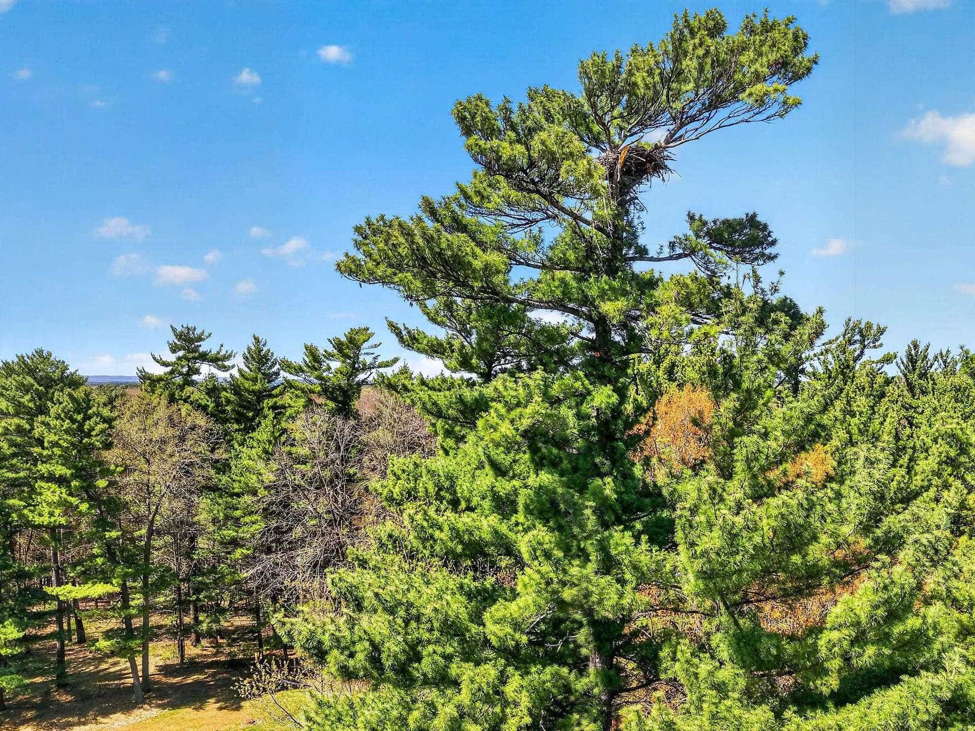 55 Bowman Road, #308, Wisconsin Dells, WI 53965