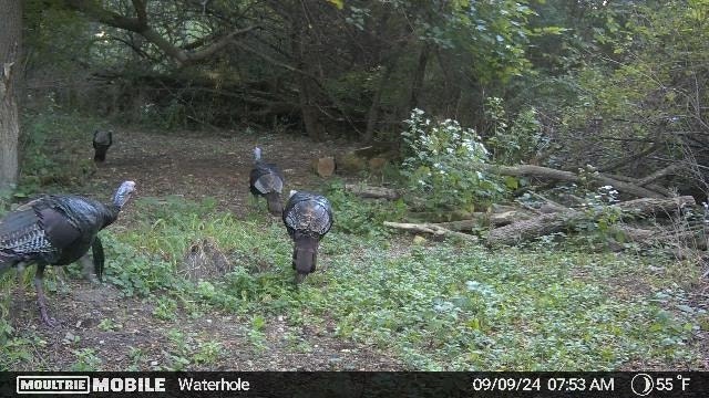 W12497 Highway 188, West Point, WI 53555