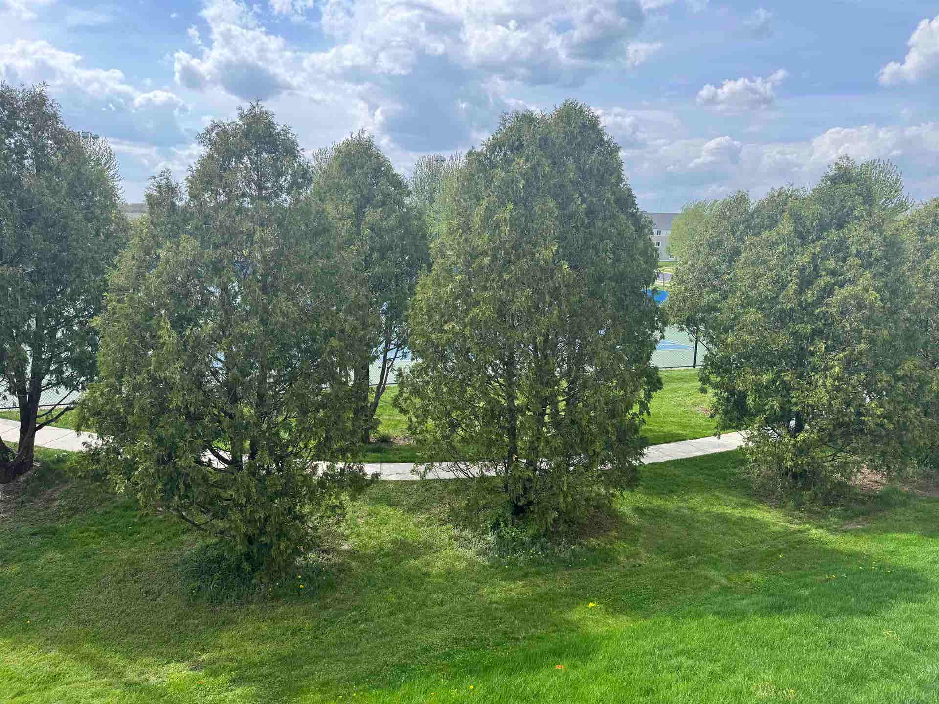 5633 Brendan Avenue, #5633, Fitchburg, WI 53711-6509