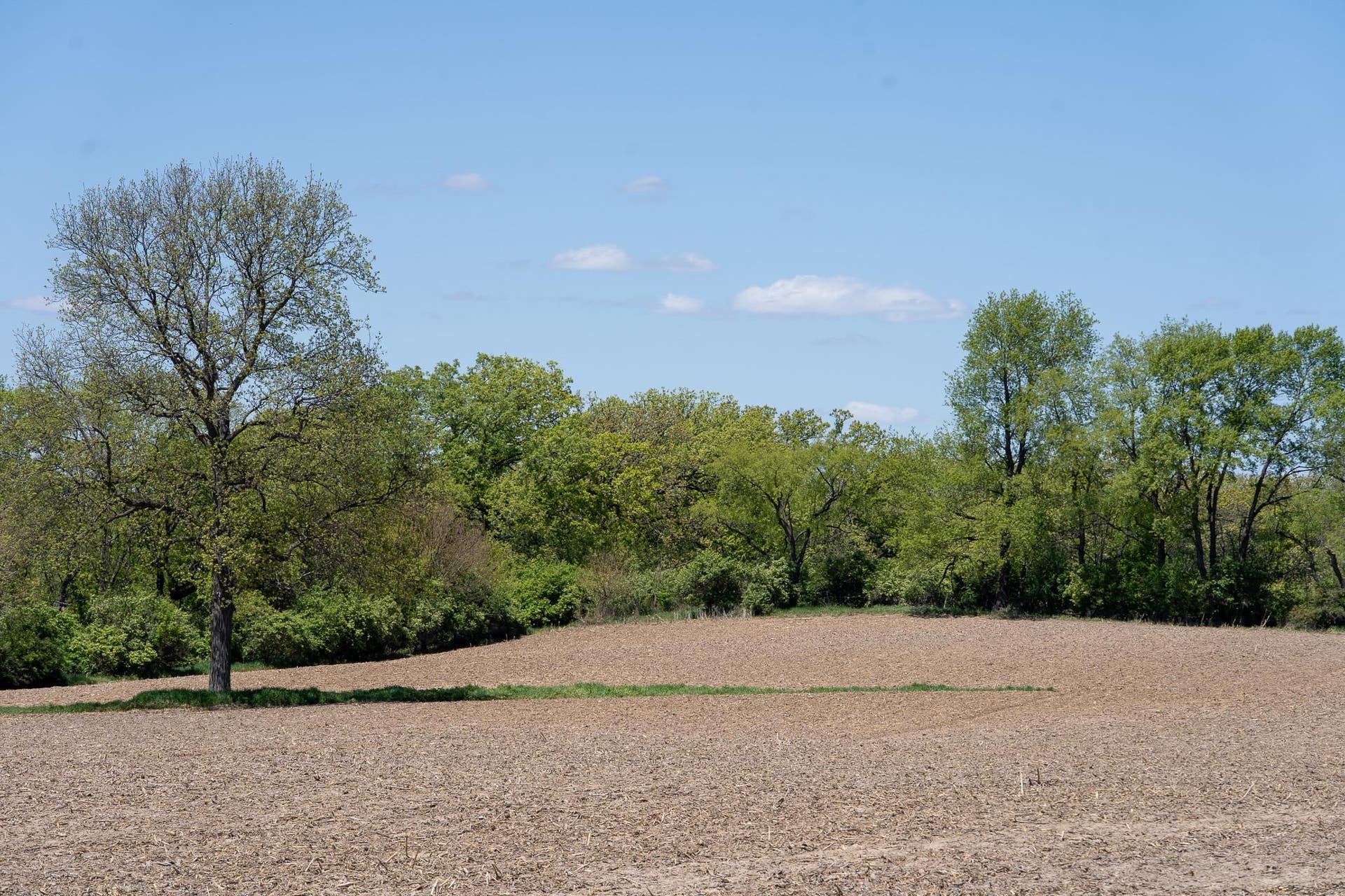 3656 Hwy 138, Rutland, WI 53589