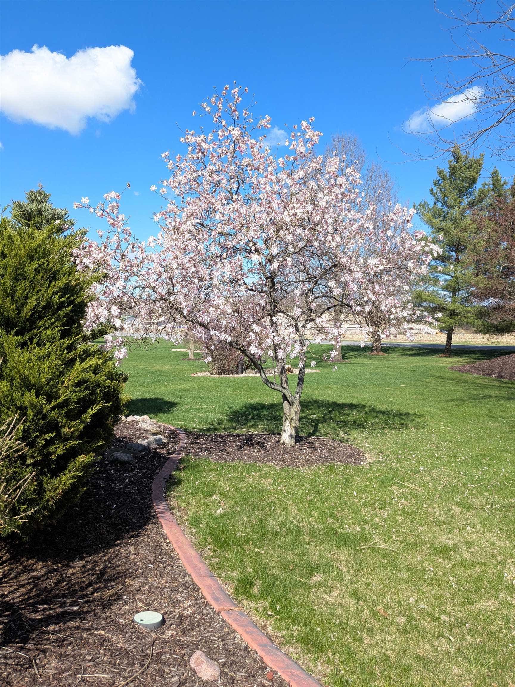 7527 Fallen Oak Drive, Middleton, WI 53593