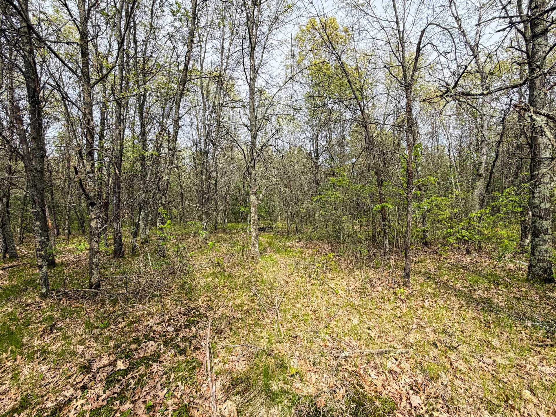 W6253 39th Street, Clearfield, WI 53950
