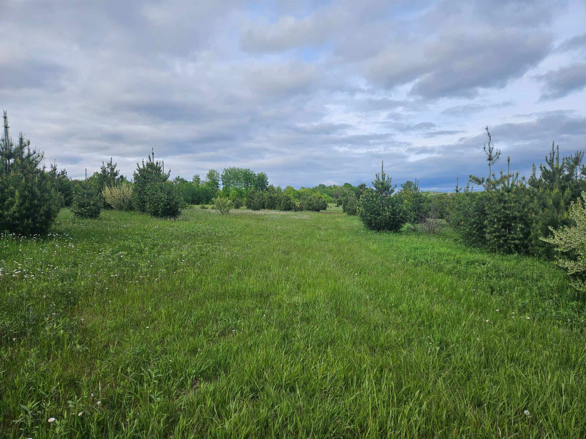 27526 County Highway X, Portland, WI 54619