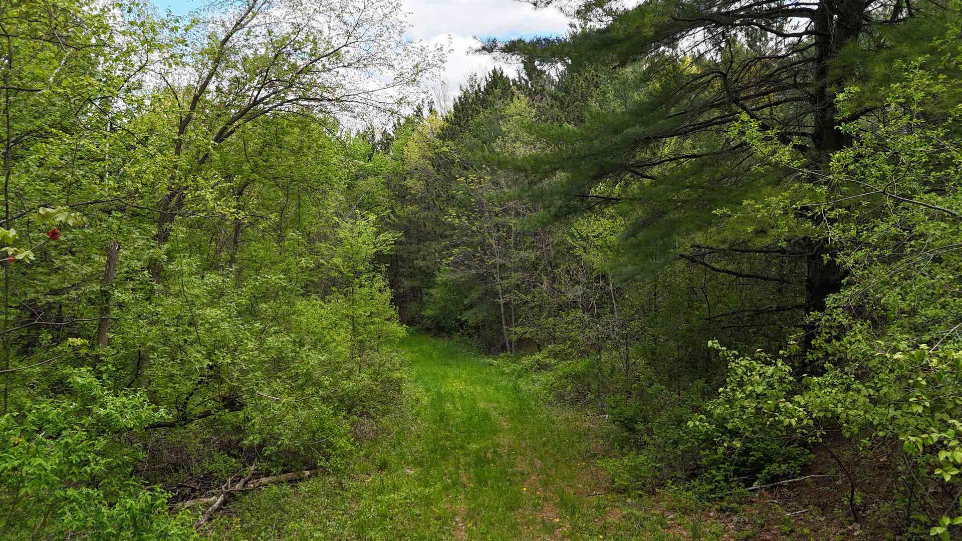 27526 County Highway X, Portland, WI 54619