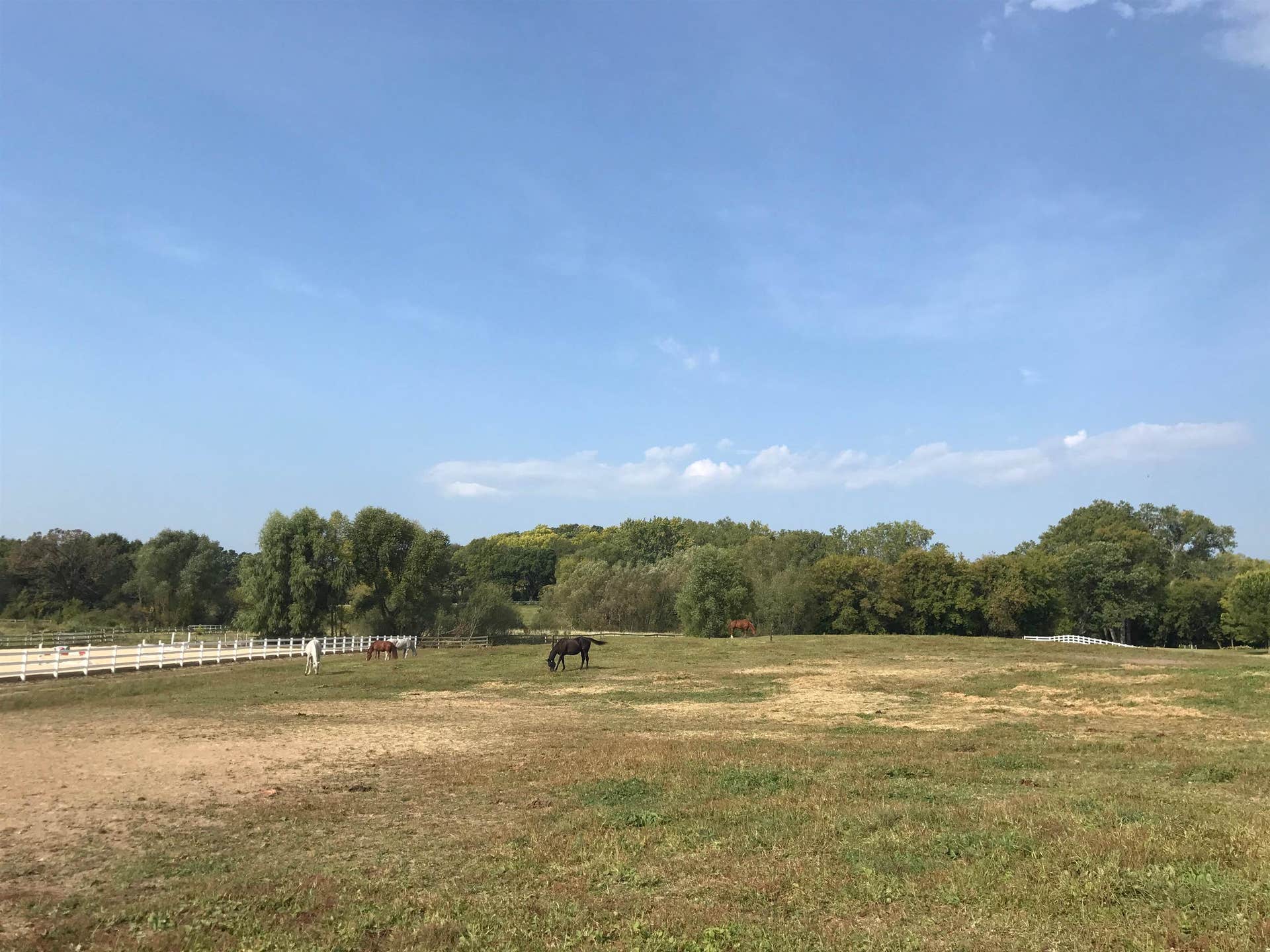 5500 Surrey Lane, Westport, WI 53597