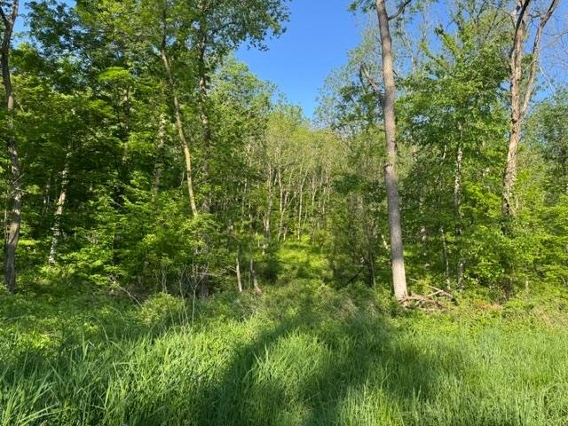 000 Byrd's Creek Valley Dr. Road, Richwood, WI 53518