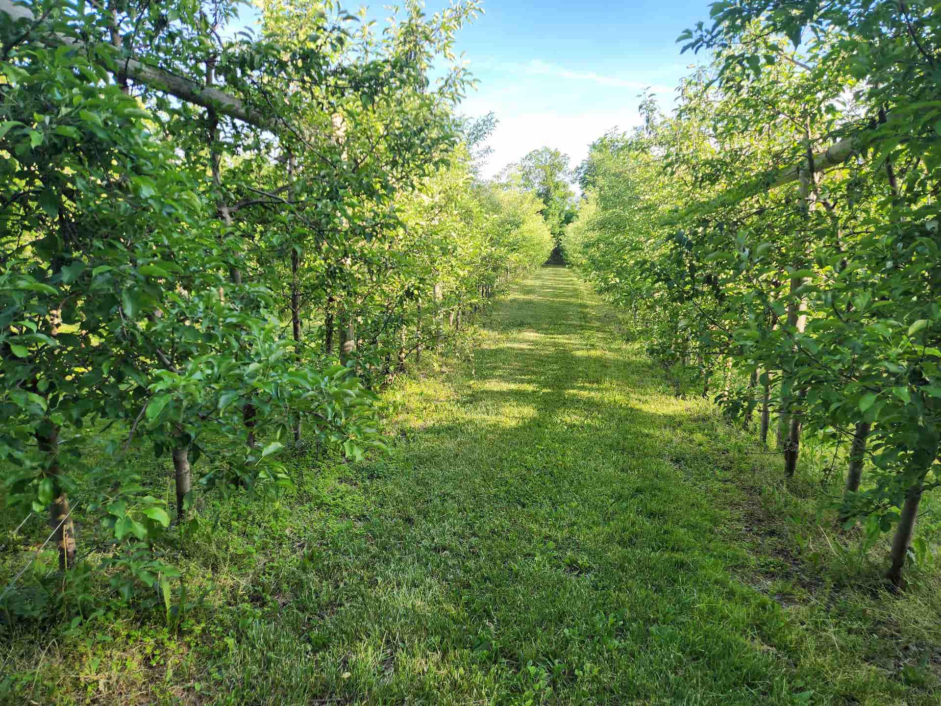 16318 E County Road V Road, Hillsboro, WI 54634-3226