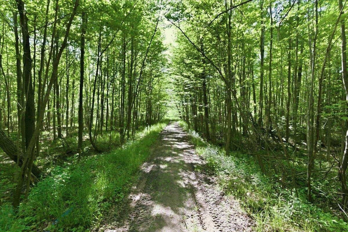 N1563 Midway Road, Corning, WI 54452