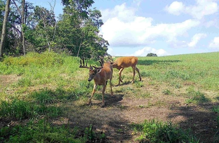 153+/- Acres Shimmering Lane, Eagle, WI 53518