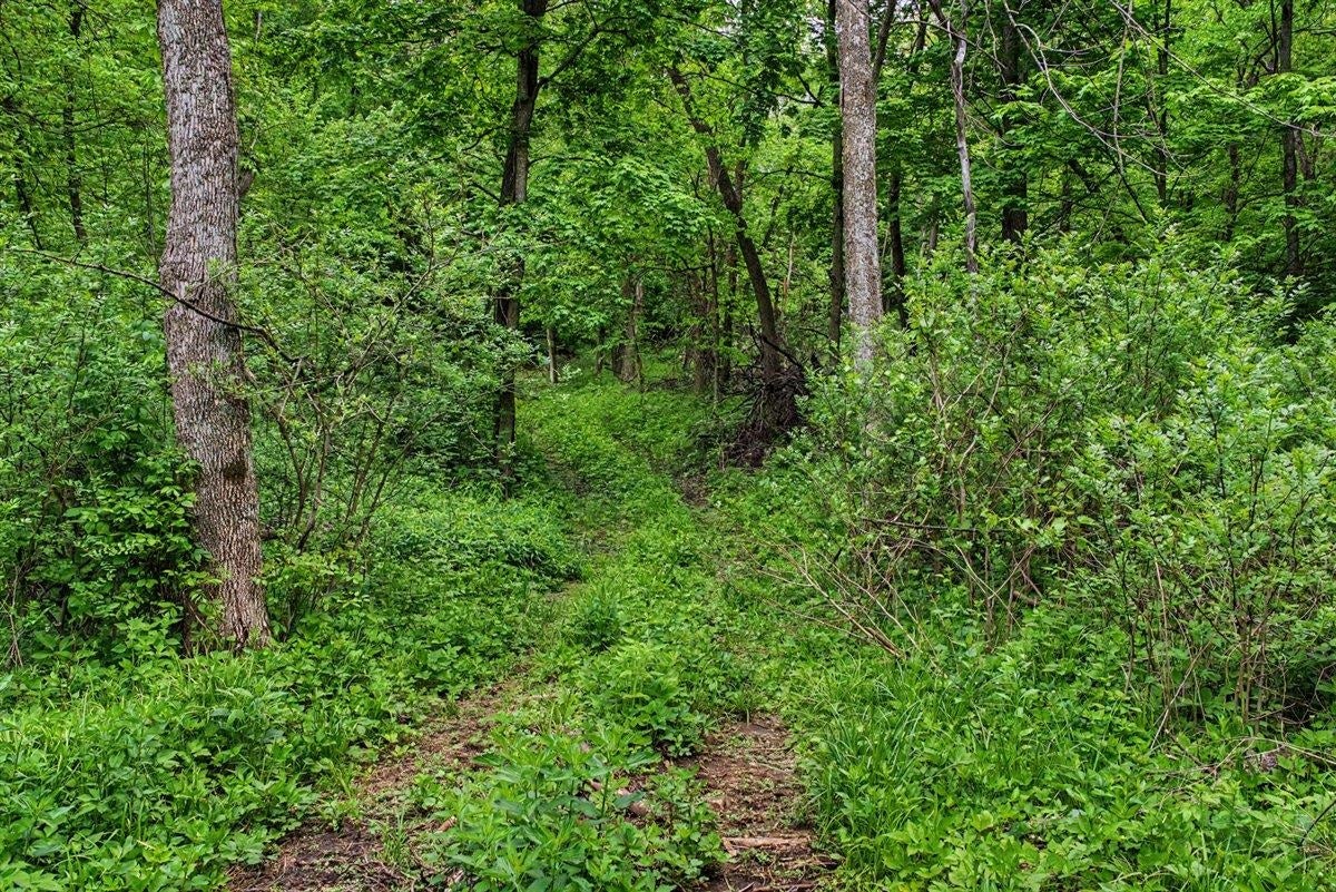 153+/- Acres Shimmering Lane, Eagle, WI 53518