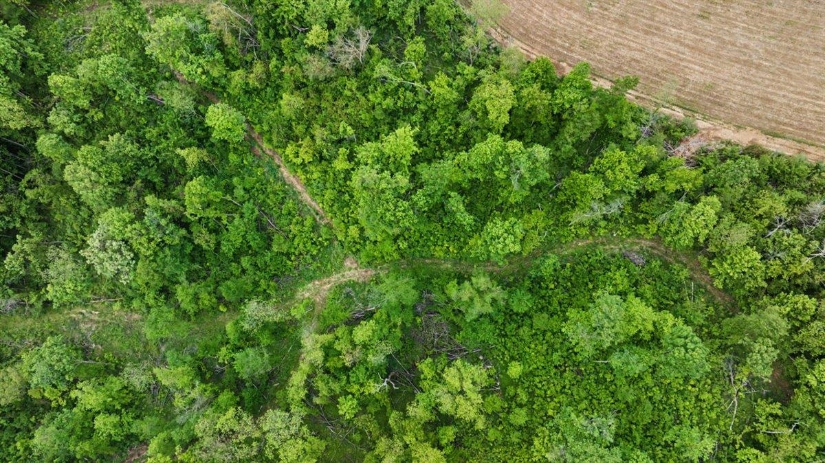 153+/- Acres Shimmering Lane, Eagle, WI 53518