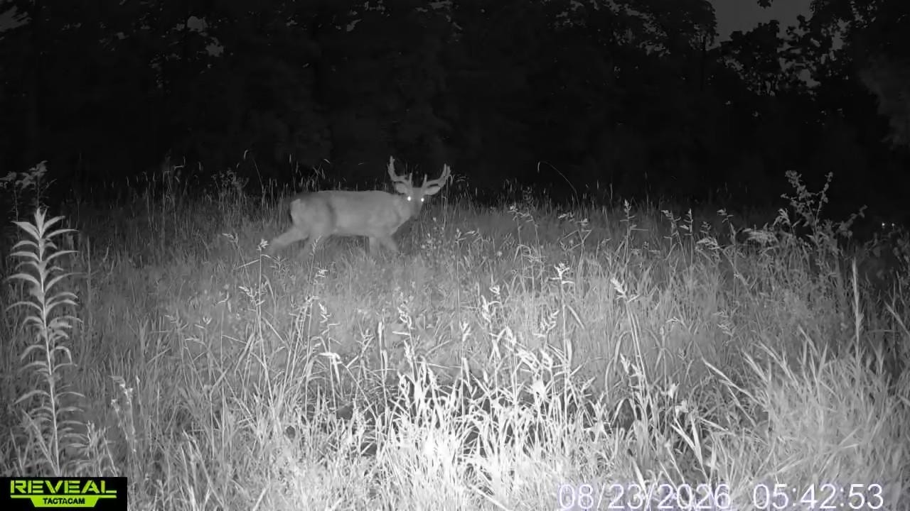 153+/- Acres Shimmering Lane, Eagle, WI 53518