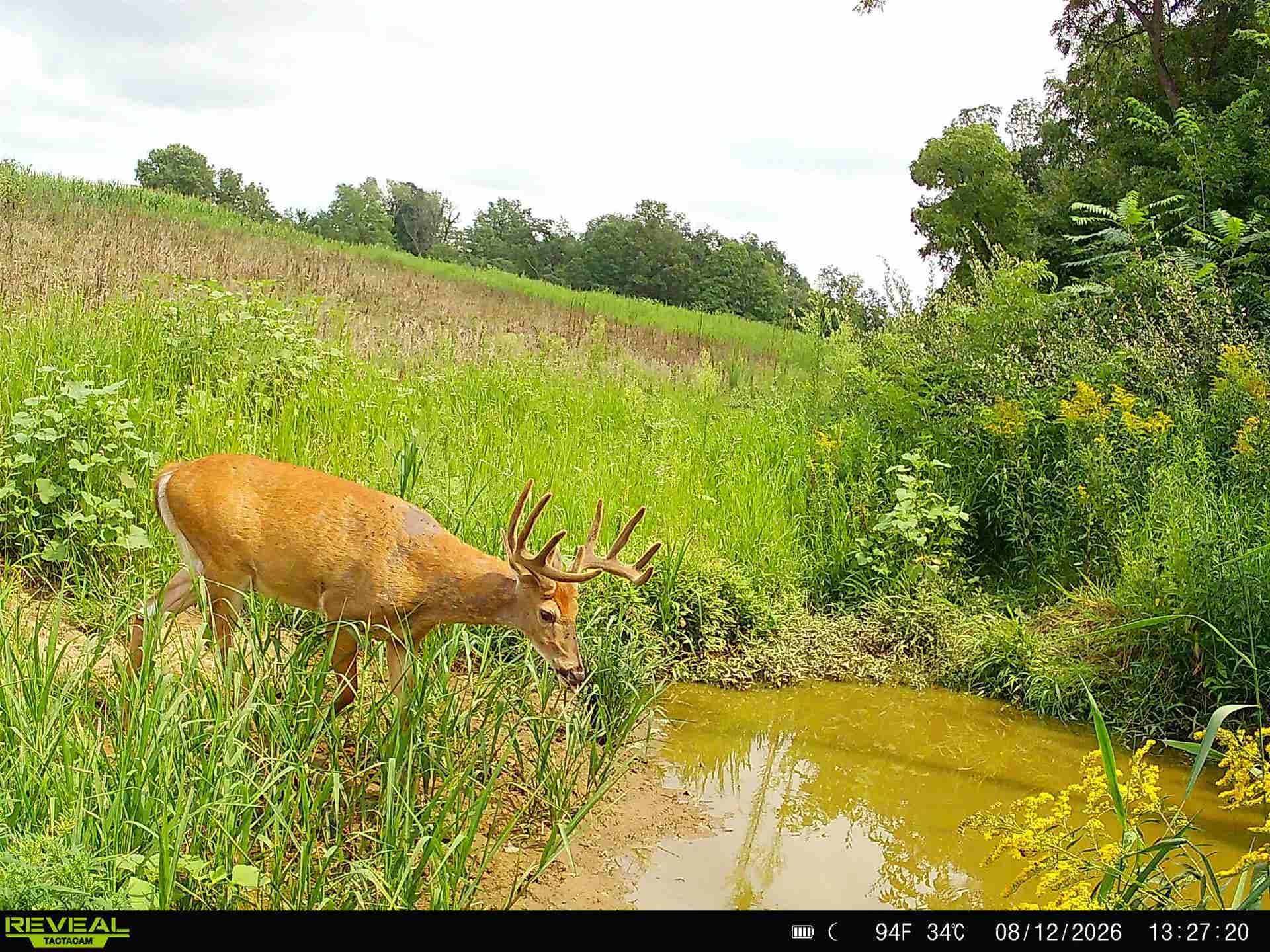 153+/- Acres Shimmering Lane, Eagle, WI 53518