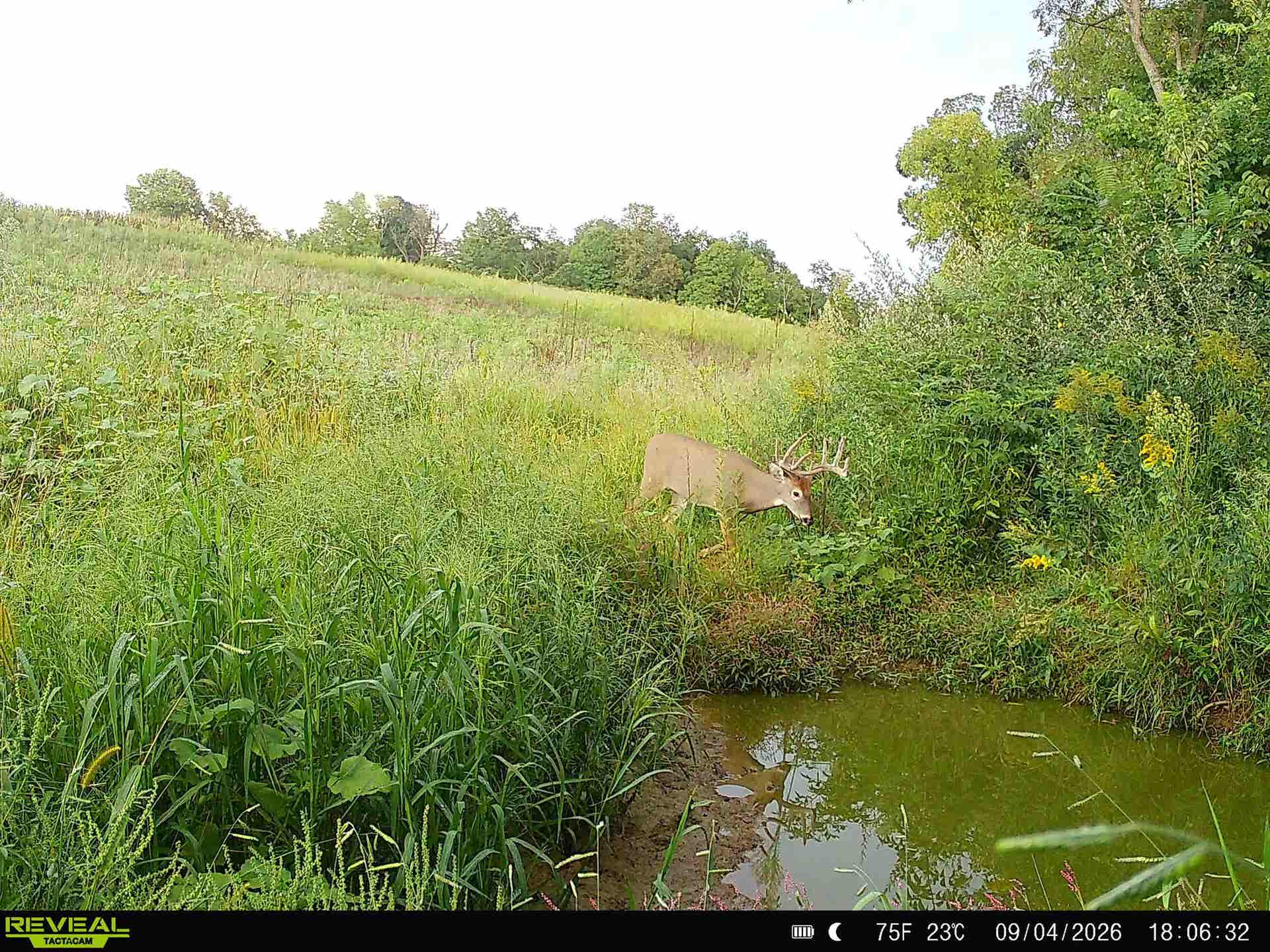 153+/- Acres Shimmering Lane, Eagle, WI 53518