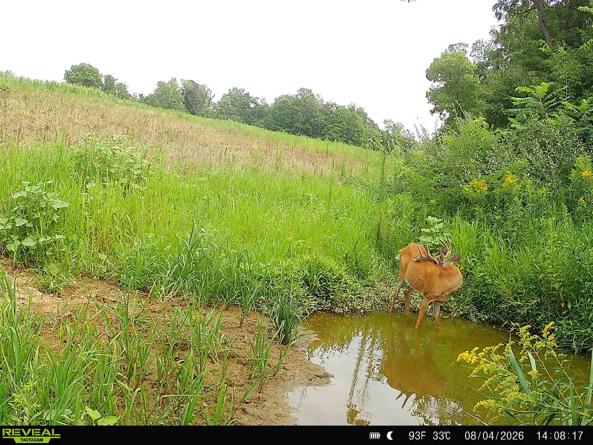 153+/- Acres Shimmering Lane, Eagle, WI 53518