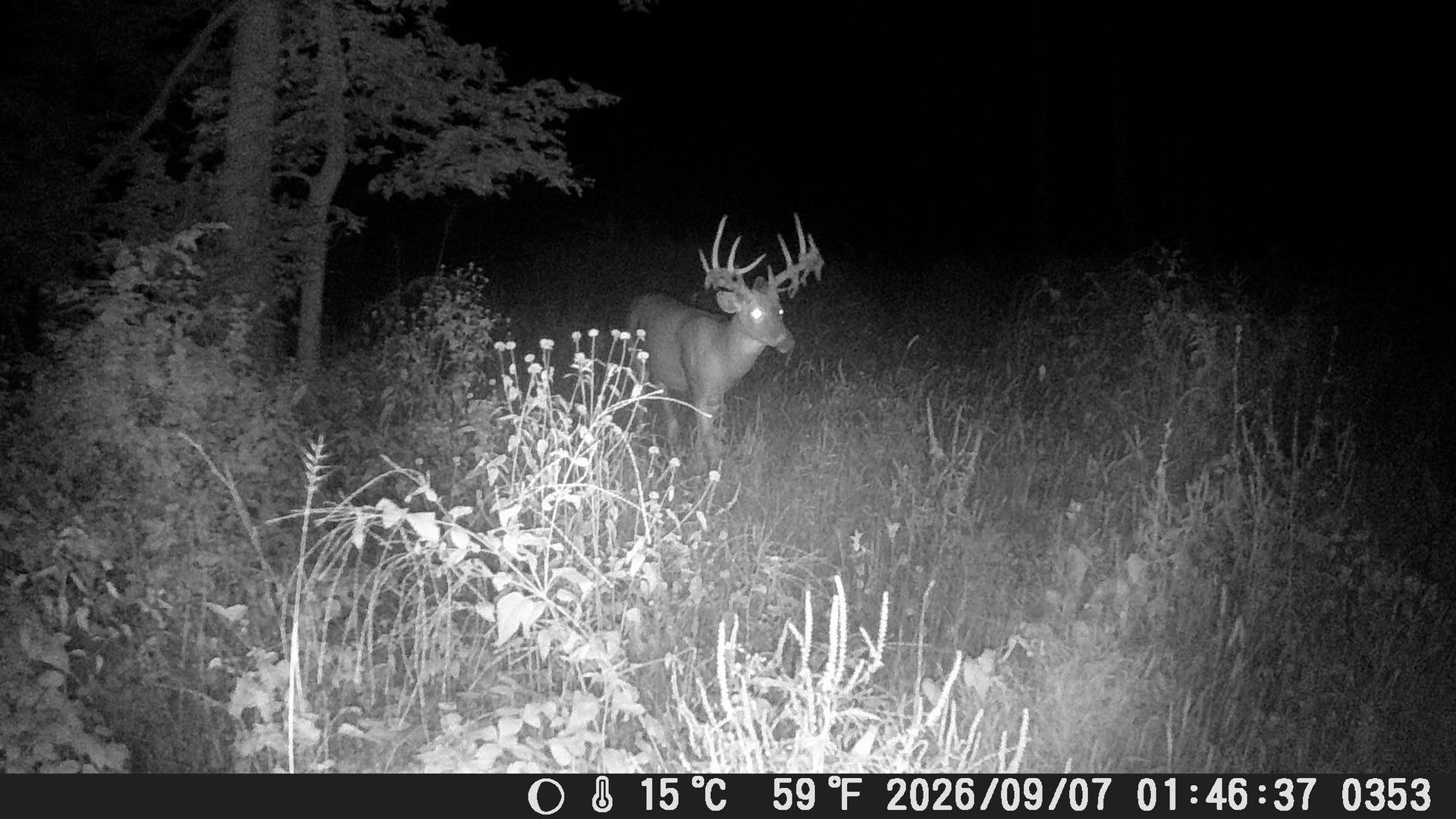 153+/- Acres Shimmering Lane, Eagle, WI 53518