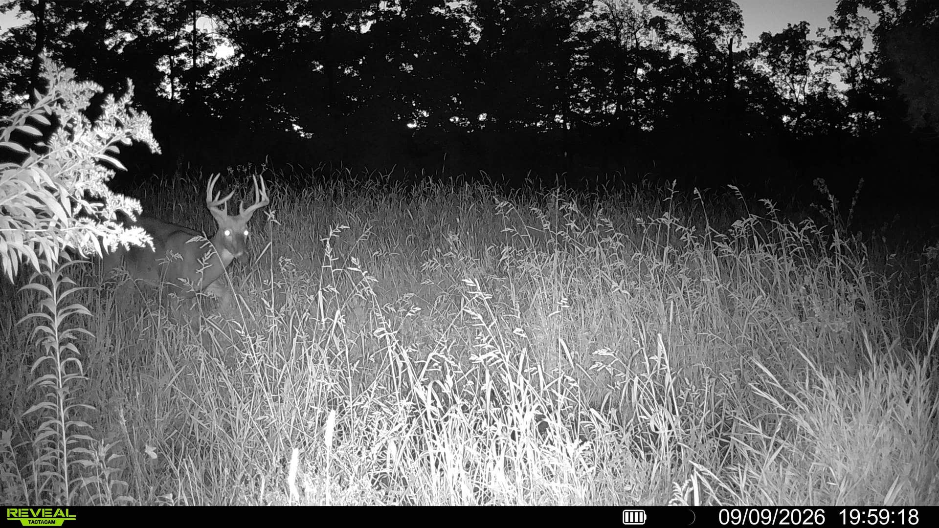 153+/- Acres Shimmering Lane, Eagle, WI 53518