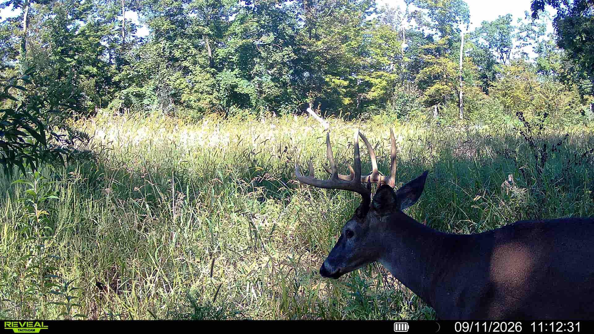 153+/- Acres Shimmering Lane, Eagle, WI 53518