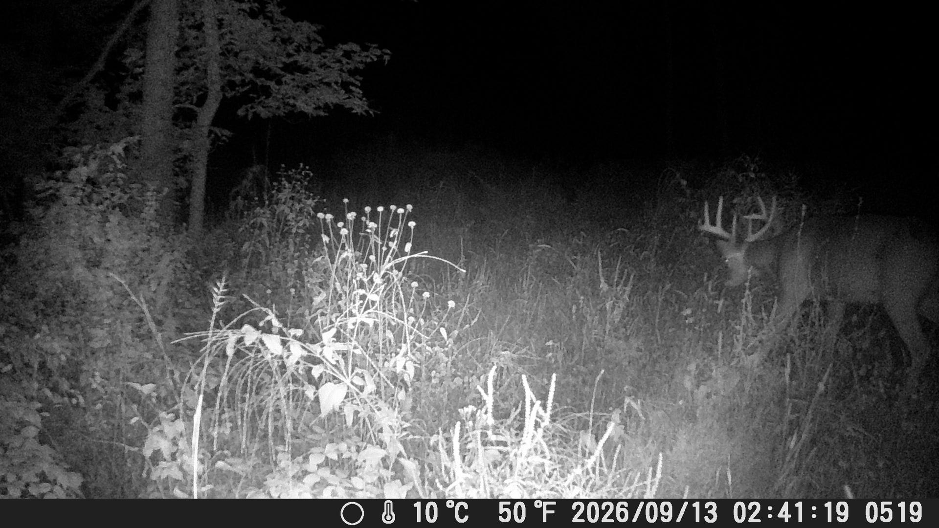 153+/- Acres Shimmering Lane, Eagle, WI 53518