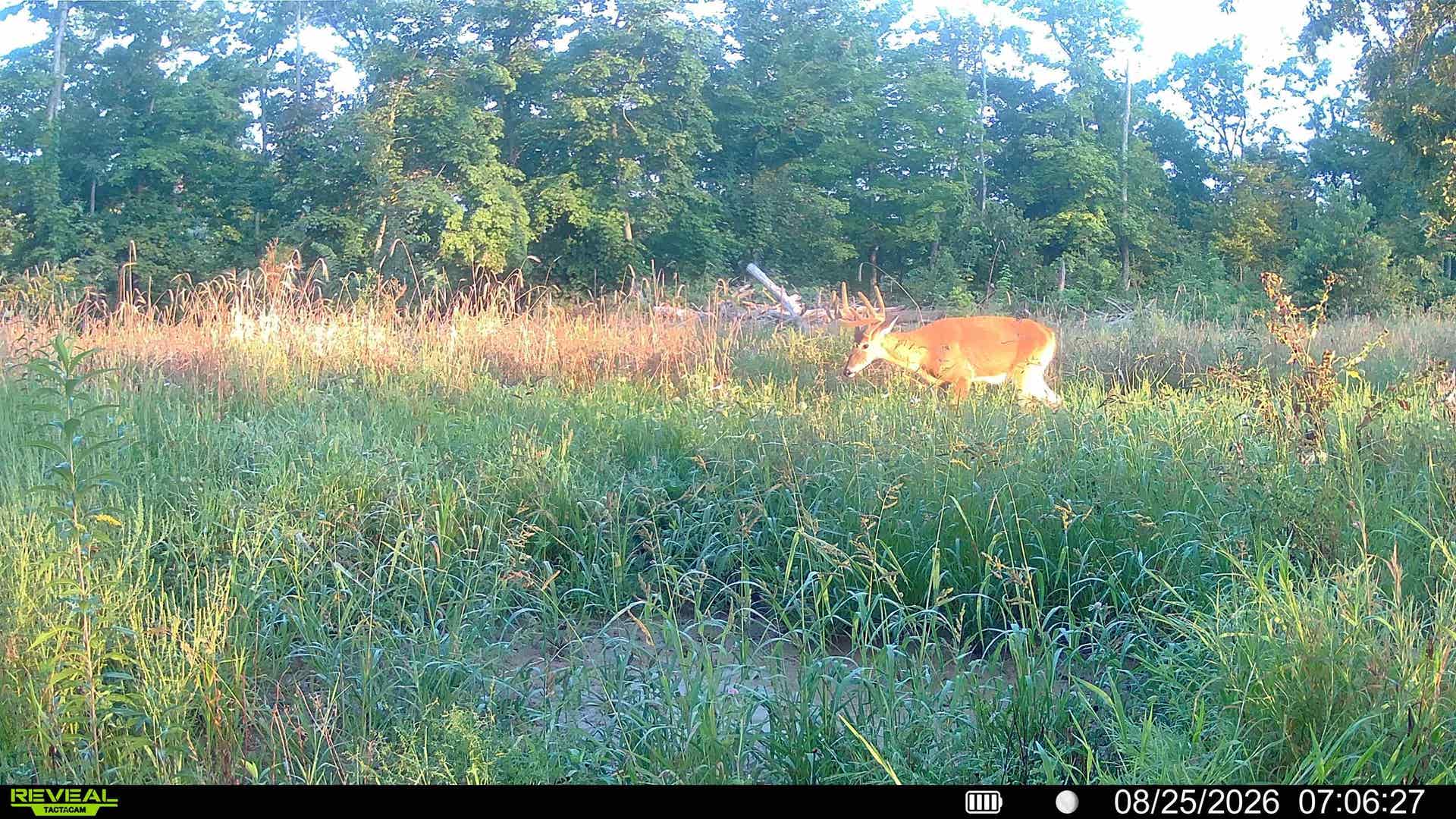 153+/- Acres Shimmering Lane, Eagle, WI 53518