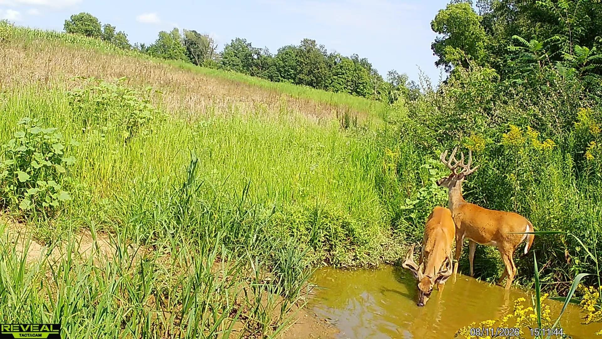 153+/- Acres Shimmering Lane, Eagle, WI 53518