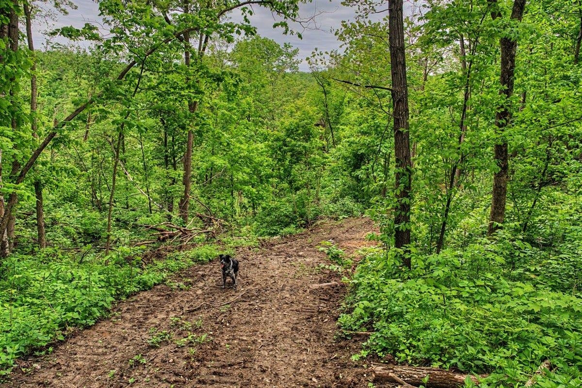 153+/- Acres Shimmering Lane, Eagle, WI 53518