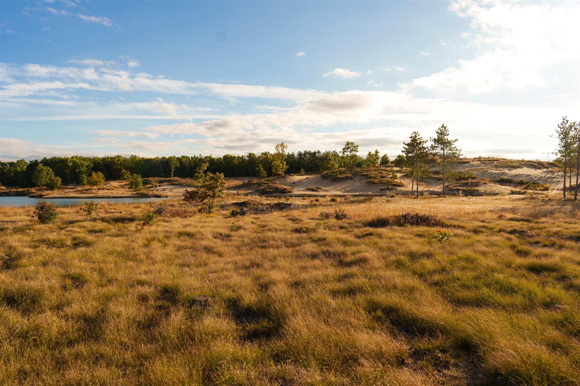 Lot 1 Mammoth Conservancy Drive, Rome, WI 54457