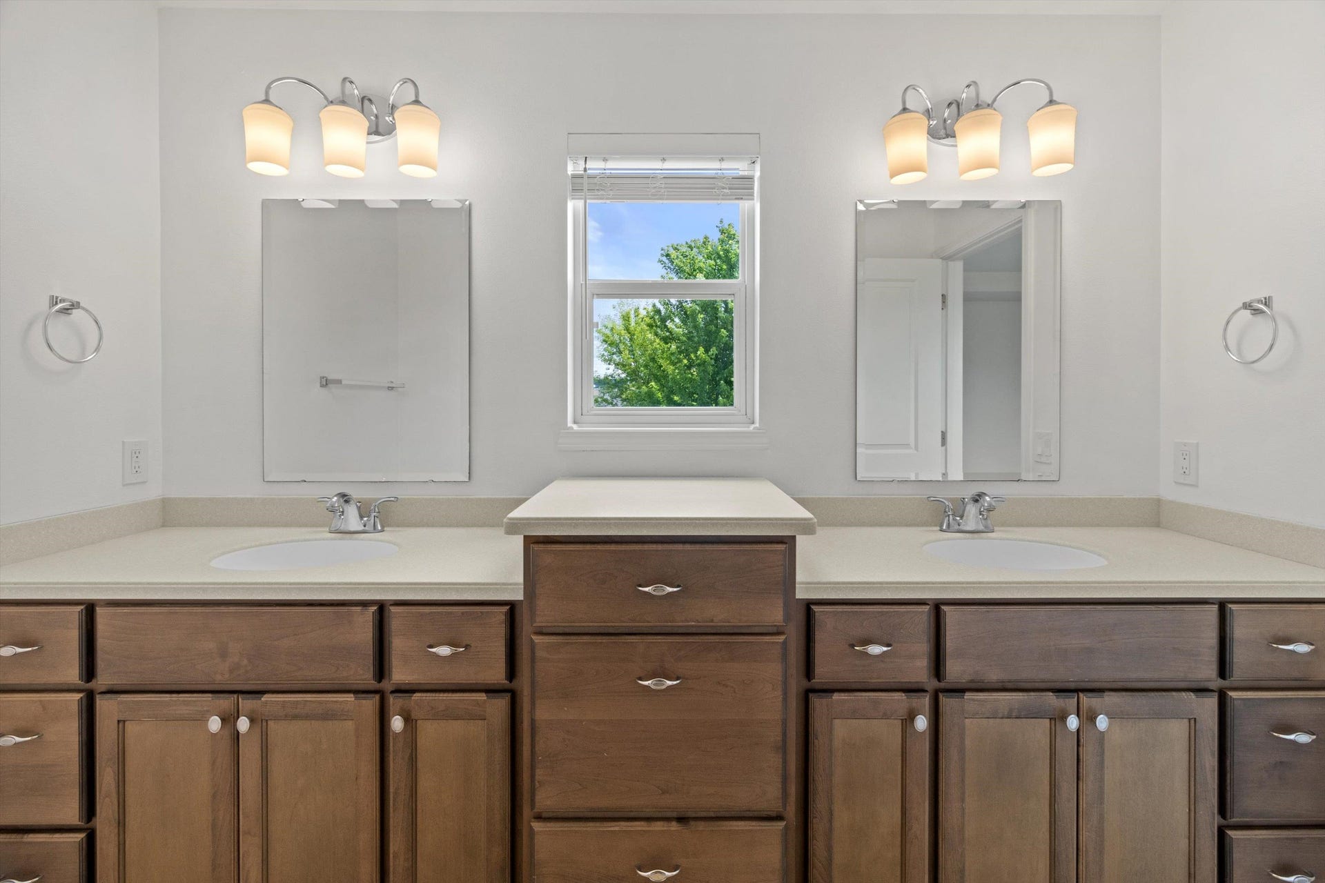 17 Rustling Birch Court, Madison, WI 53593