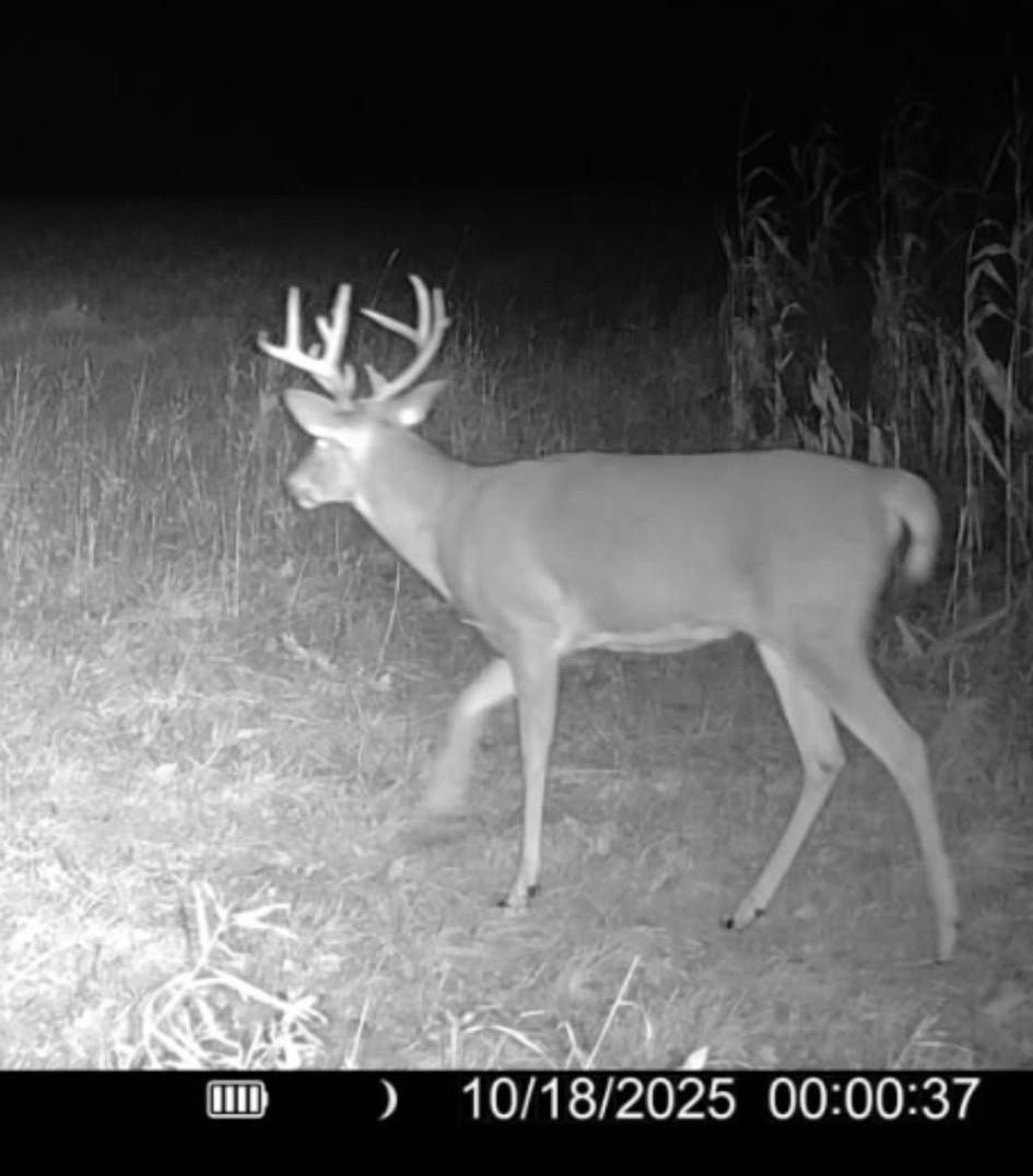 E2906 N Dutch Hollow Road, La Valle, WI 53941