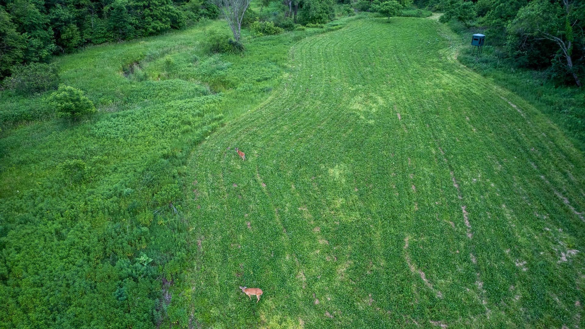 6880 County Road P, Pulaski, WI 53573