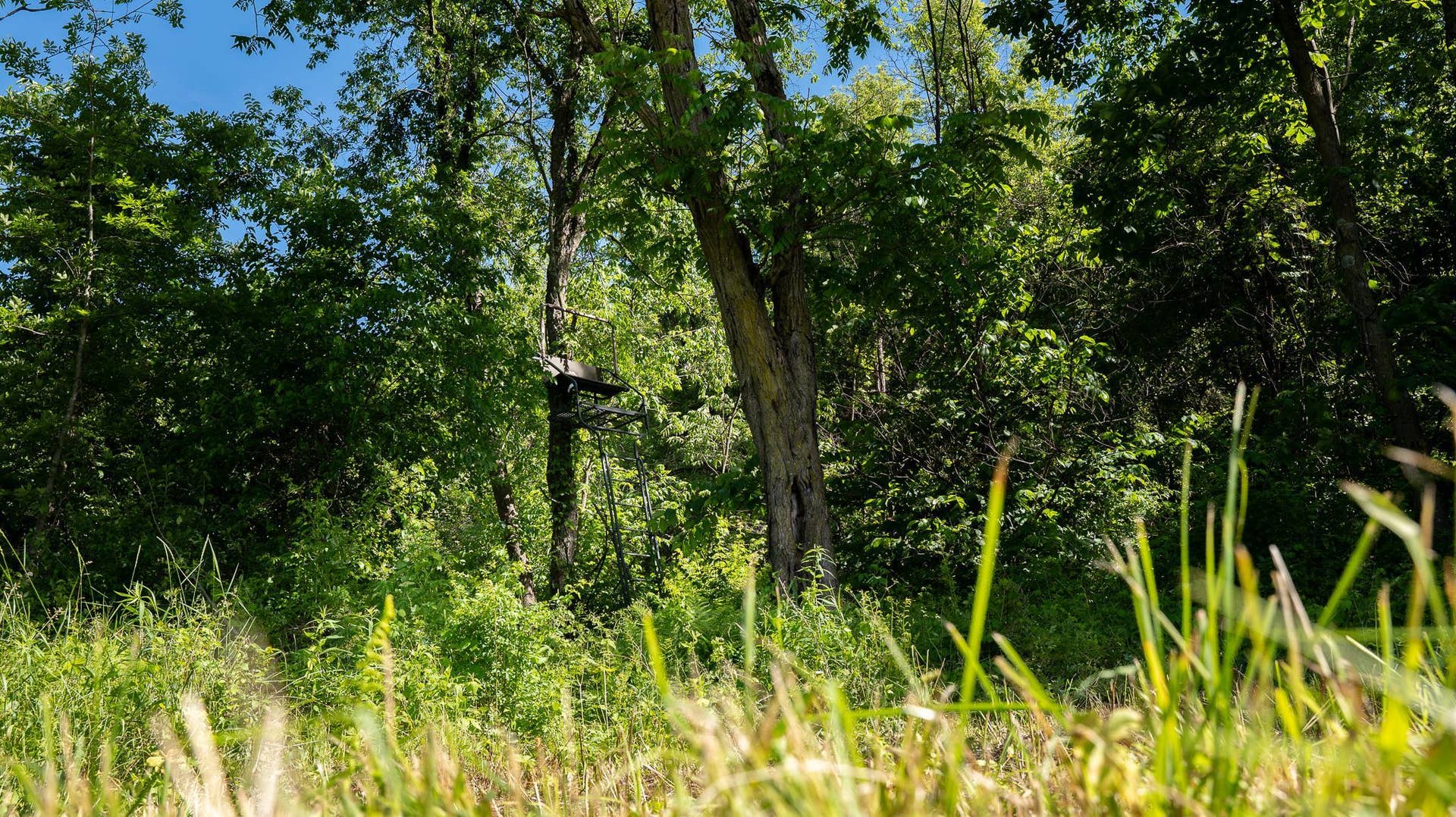 6880 County Road P, Pulaski, WI 53573