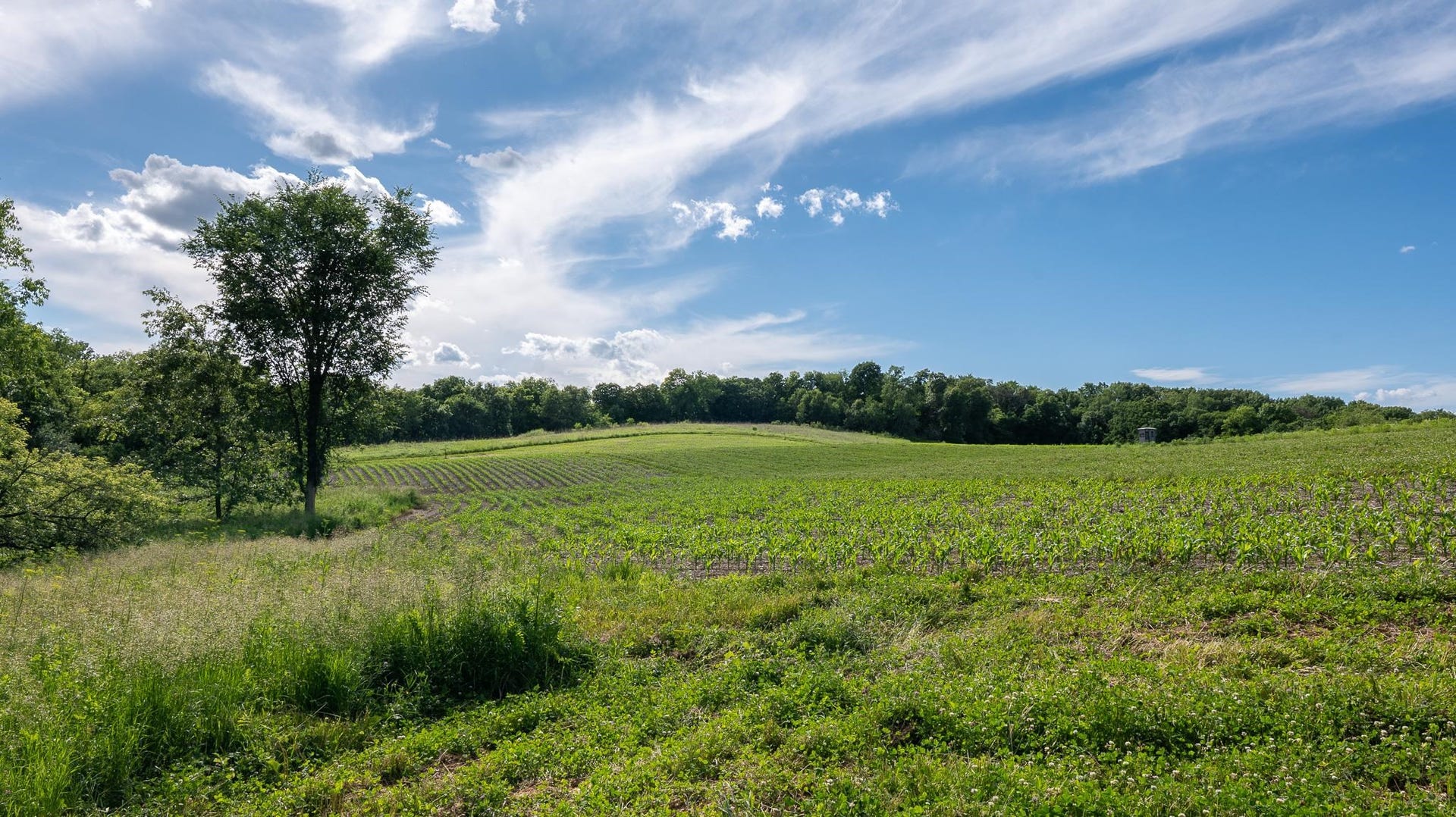 6880 County Road P, Pulaski, WI 53573