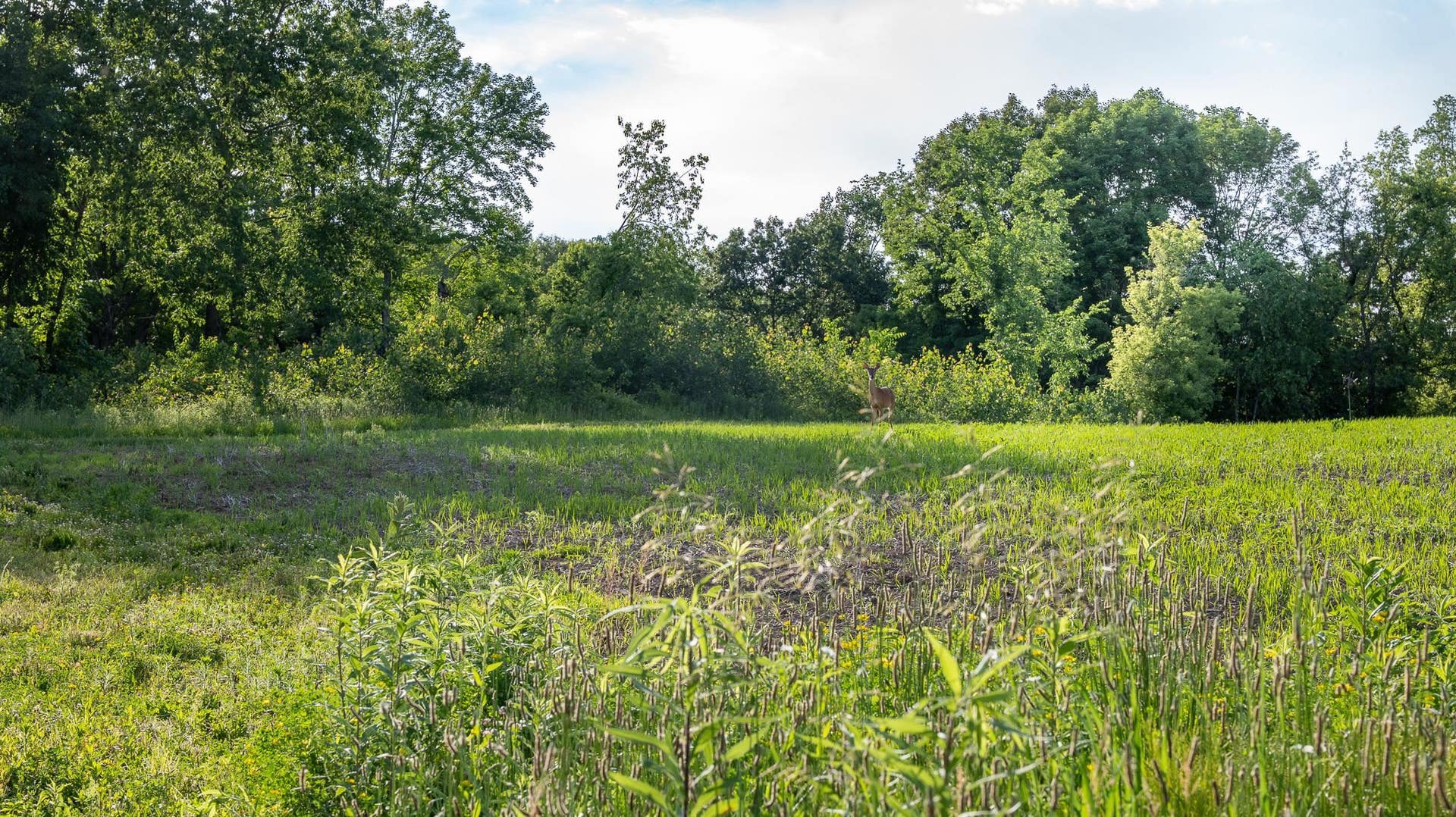 6880 County Road P, Pulaski, WI 53573