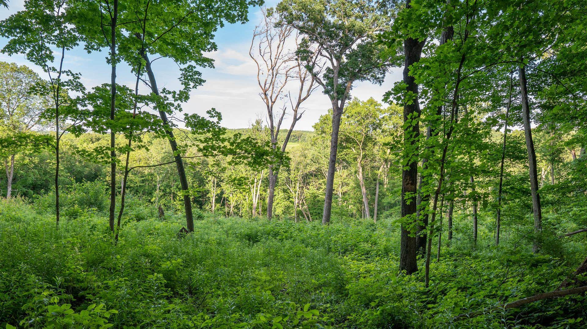 6880 County Road P, Pulaski, WI 53573