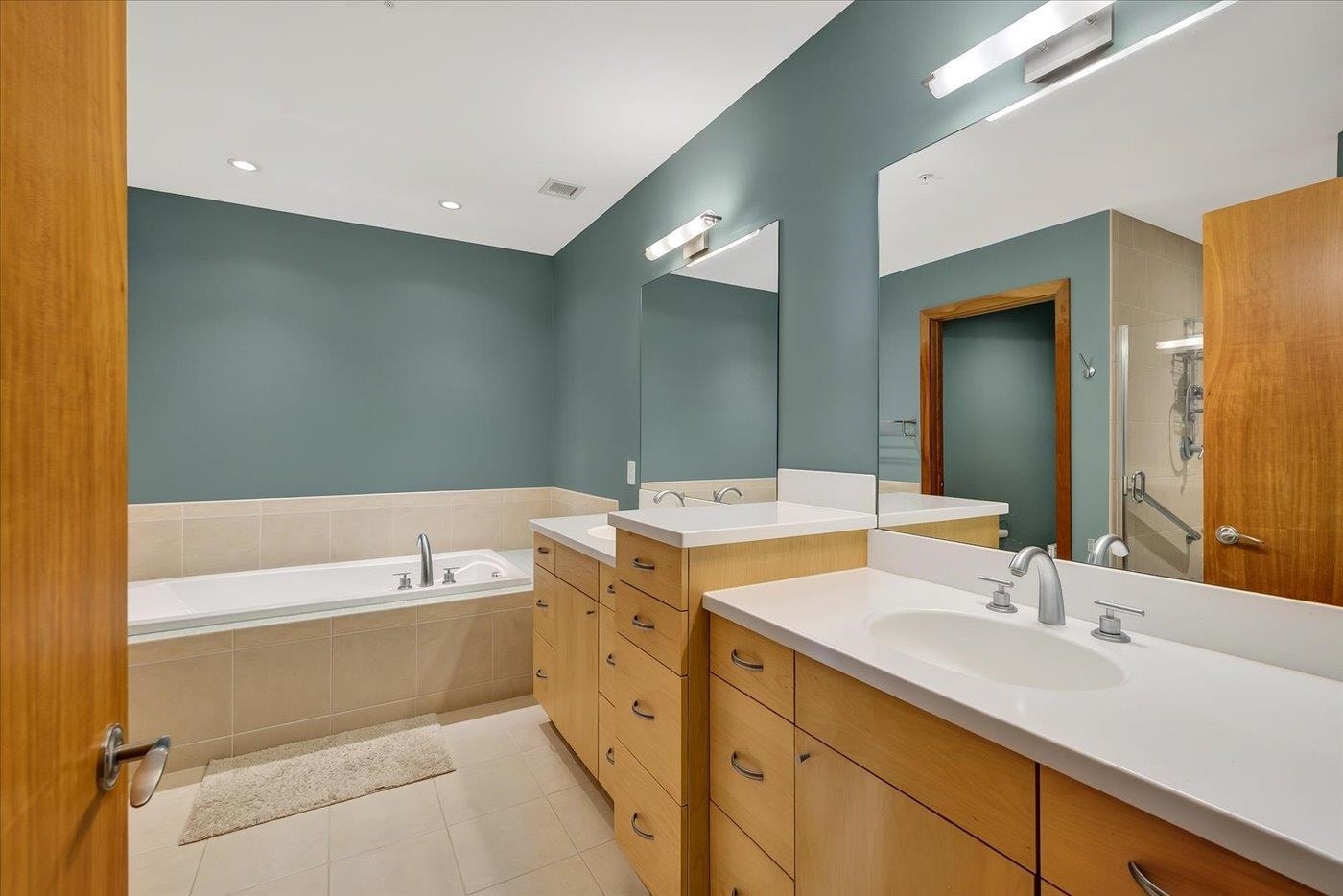 350 S Hamilton Street, #204, Madison, WI 53703