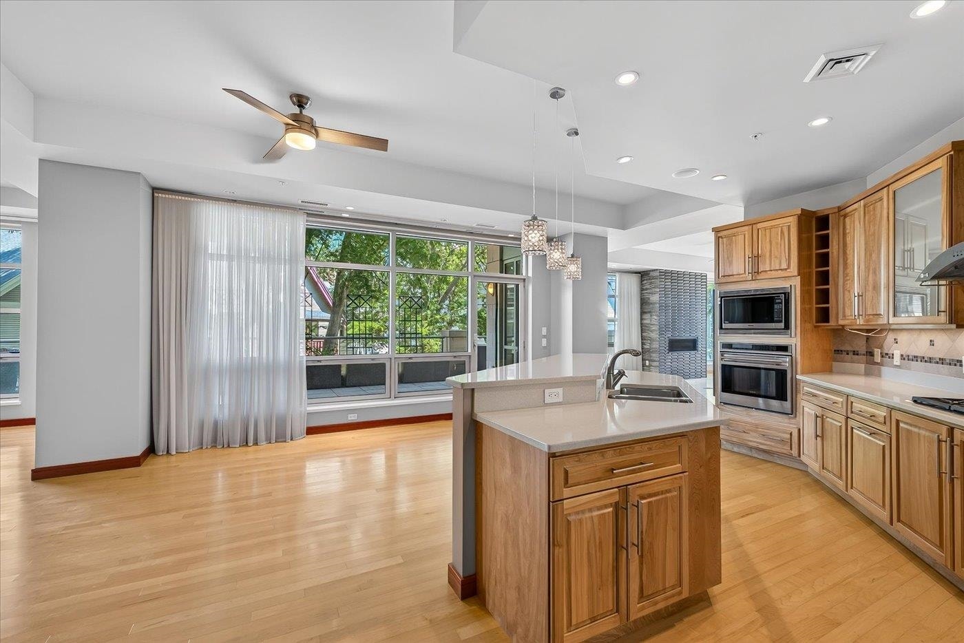350 S Hamilton Street, #204, Madison, WI 53703