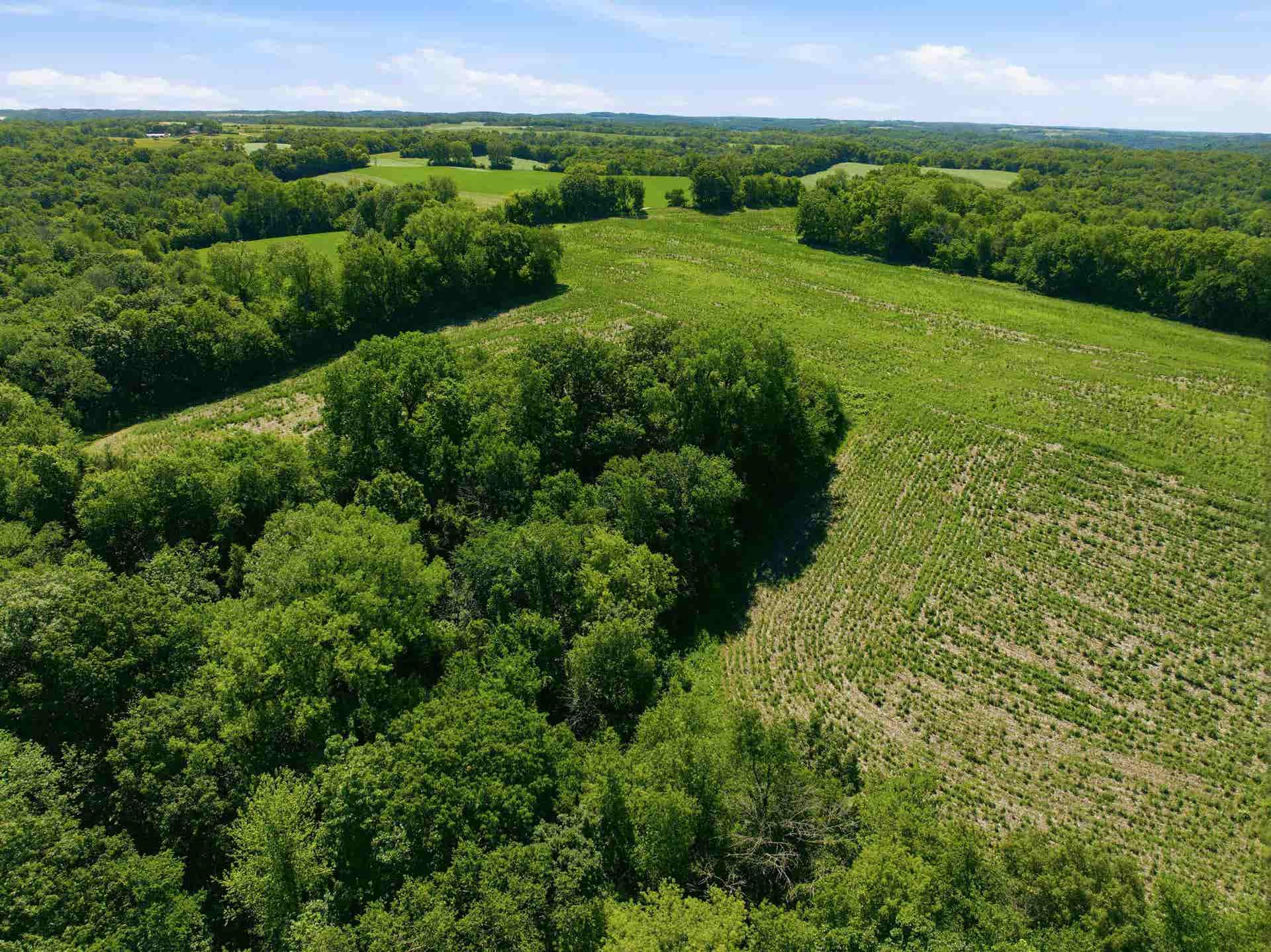 100 AC Dunlap Hollow Road, Roxbury, WI 53560