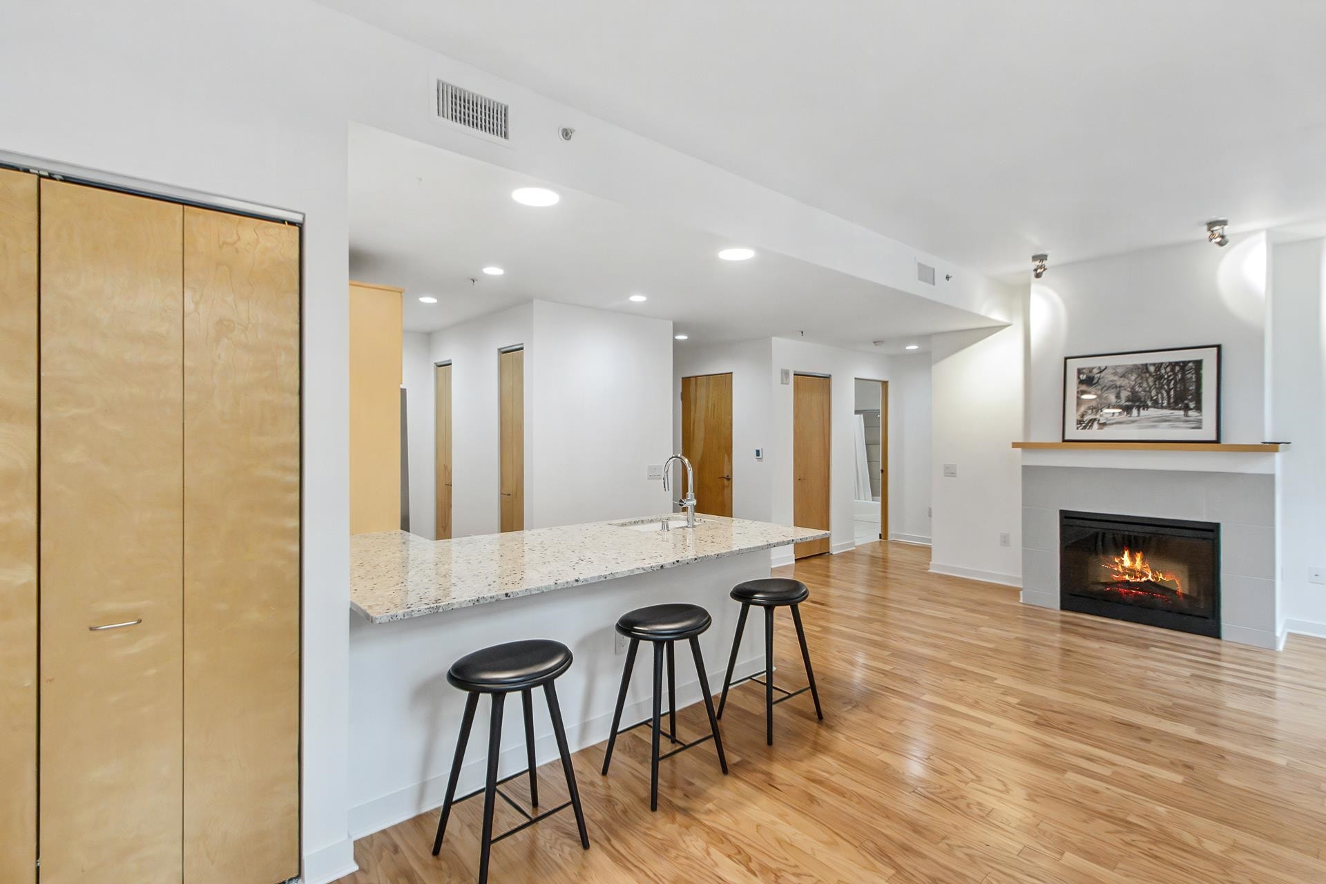 309 W Washington Avenue, #102, Madison, WI 53703