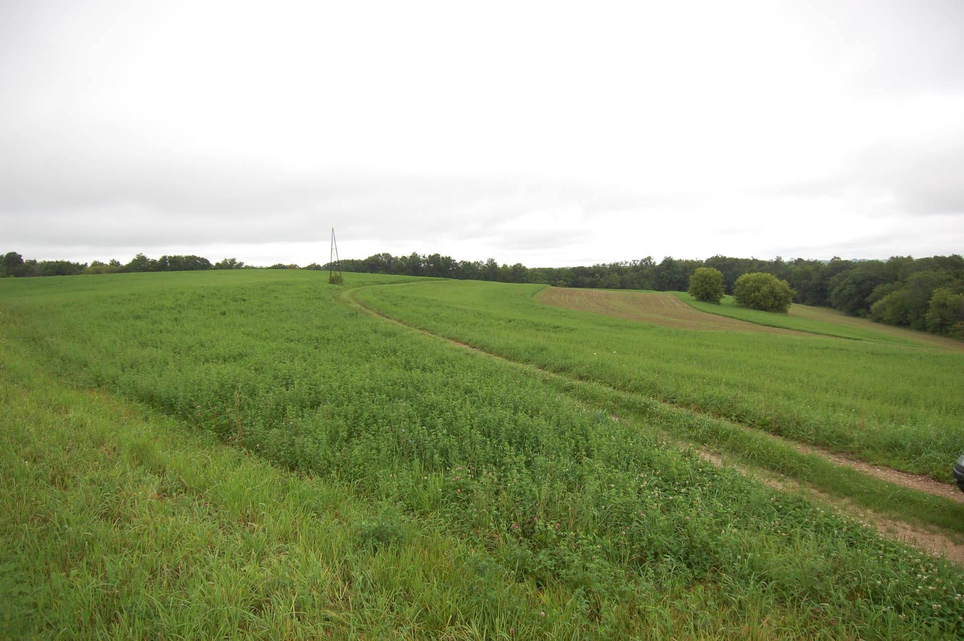 999 Halverson Ridge Road, Clayton, WI 54655