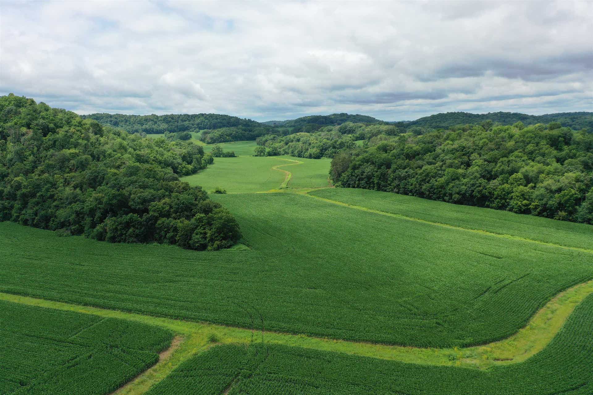 115.76 Acres State Road 60 & Hwy B Road, Troy, WI 53583
