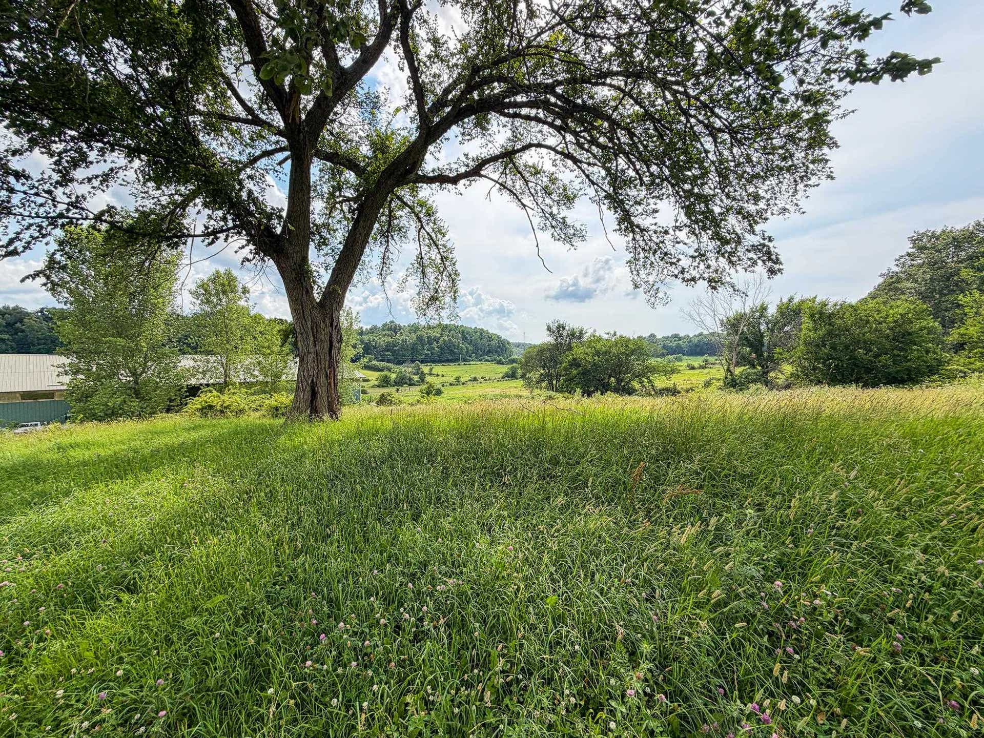 E4150 Tuckertown Road, Washington, WI 53943