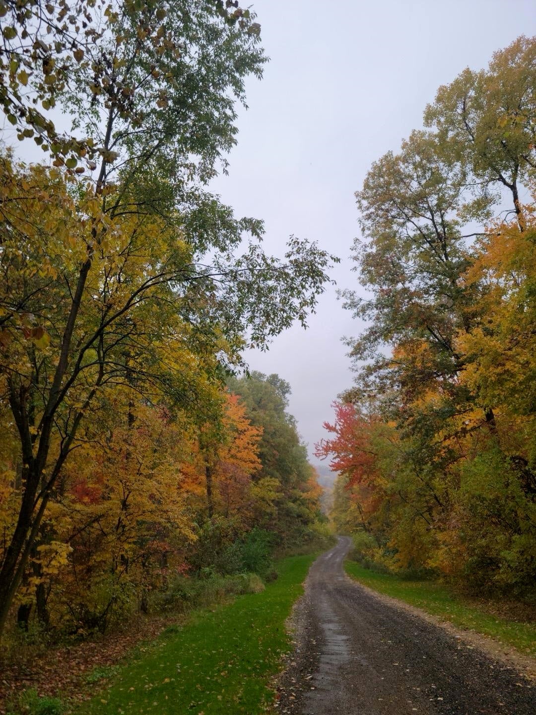 E9512 Freedom Road, Honey Creek, WI 53951