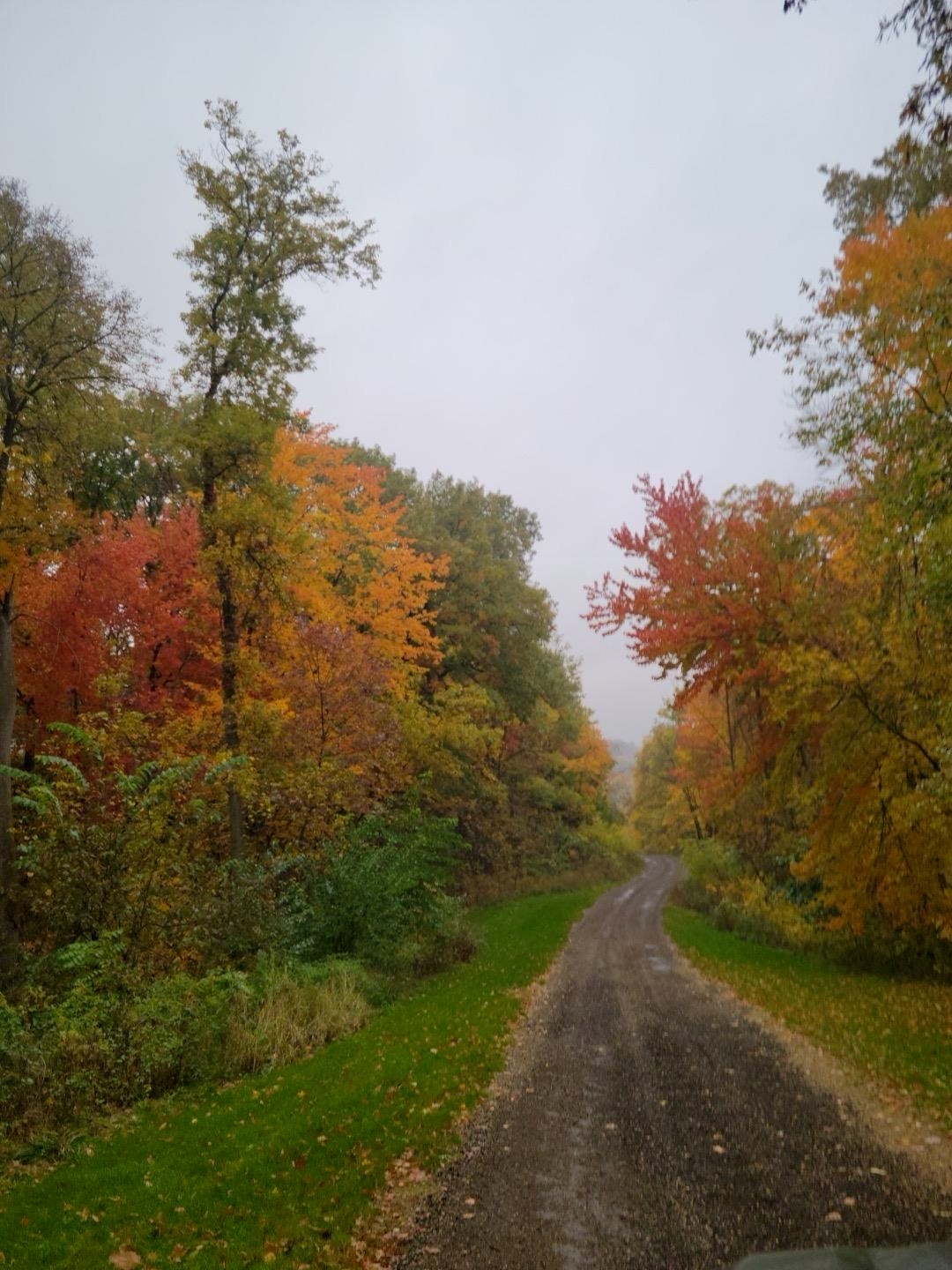 E9512 Freedom Road, Honey Creek, WI 53951